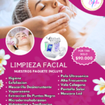 Limpieza Facial